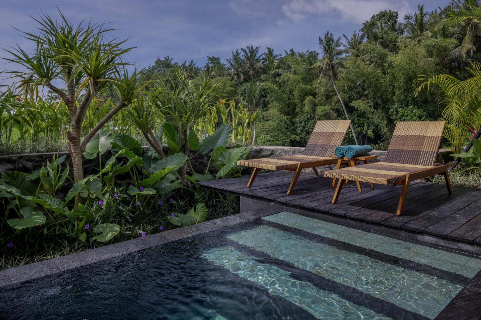 Gdas Bali Health And Wellness Resort - Adult Only Ubud Eksteriør bilde