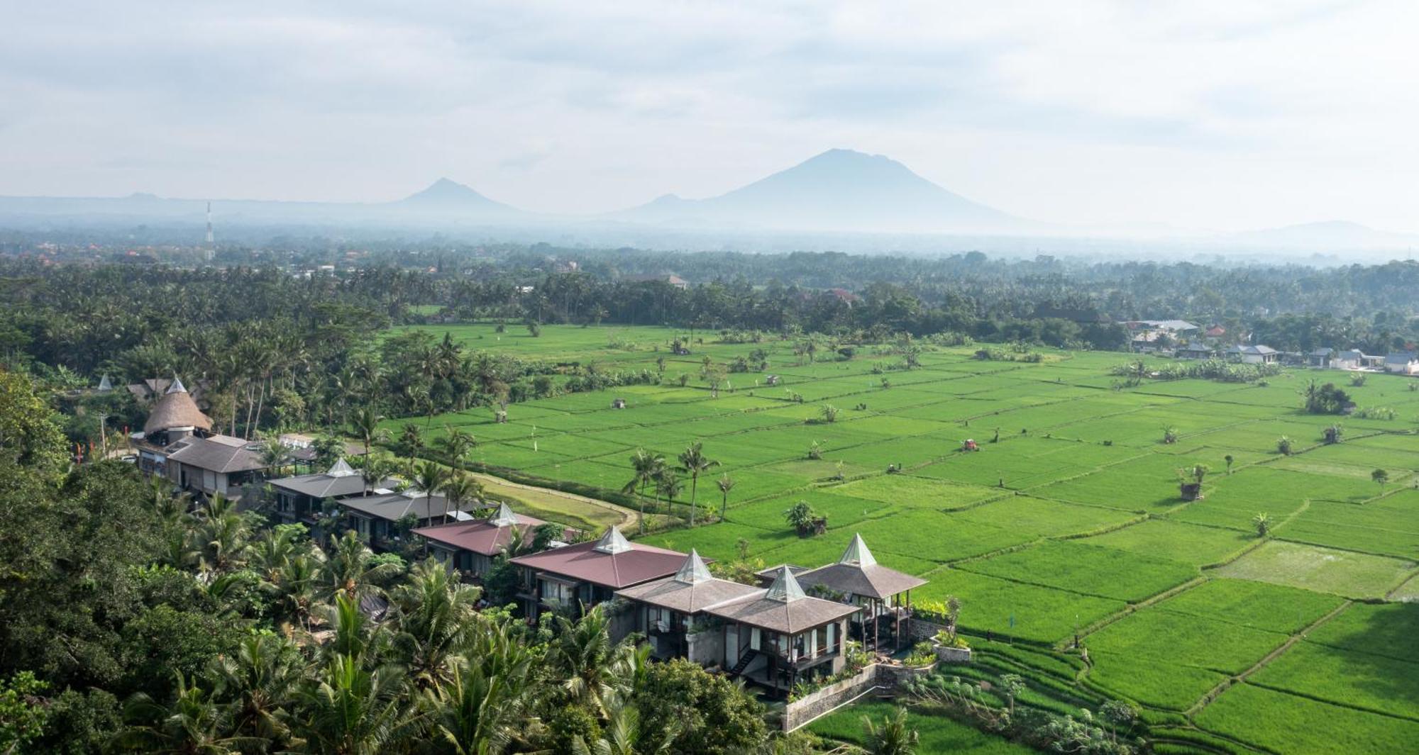 Gdas Bali Health And Wellness Resort - Adult Only Ubud Eksteriør bilde